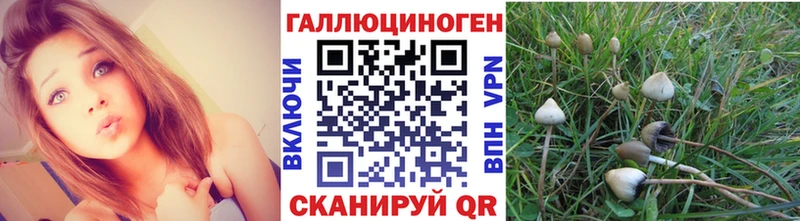 Галлюциногенные грибы мицелий  Богородицк 